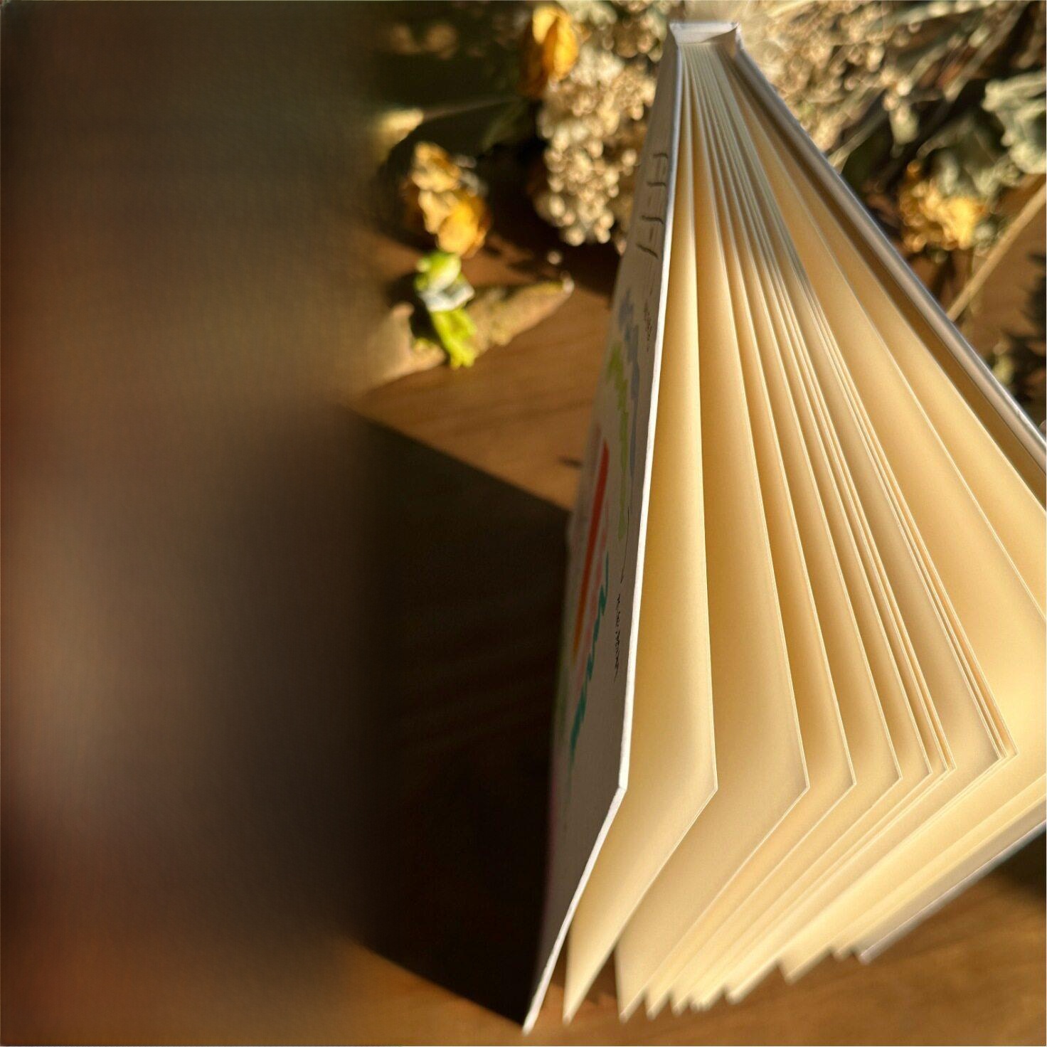 Hand Drawn Hard Cover Accordio - Journal Leather Hardcover 评论和价格